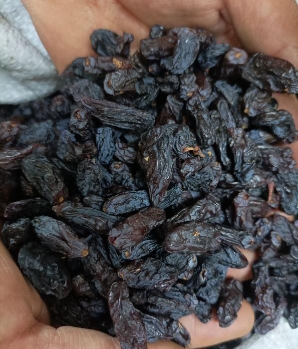 مویز هسته دار گوشتی|خوردنی و آشامیدنی|تهران, مسعودیه|دیوار