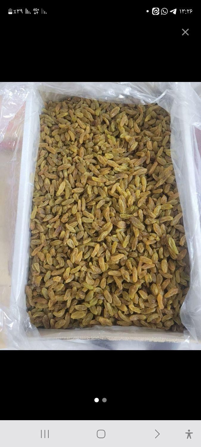 کشمش سبز درجه یک|خوردنی و آشامیدنی|بردسکن, |دیوار