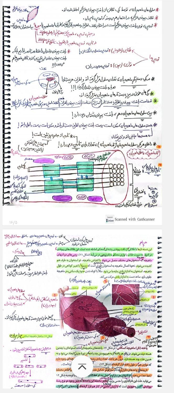 جزوه زیست و شیمی و فیزیک تجربی ریاضی|کتاب و مجله آموزشی|تهران, ستارخان|دیوار