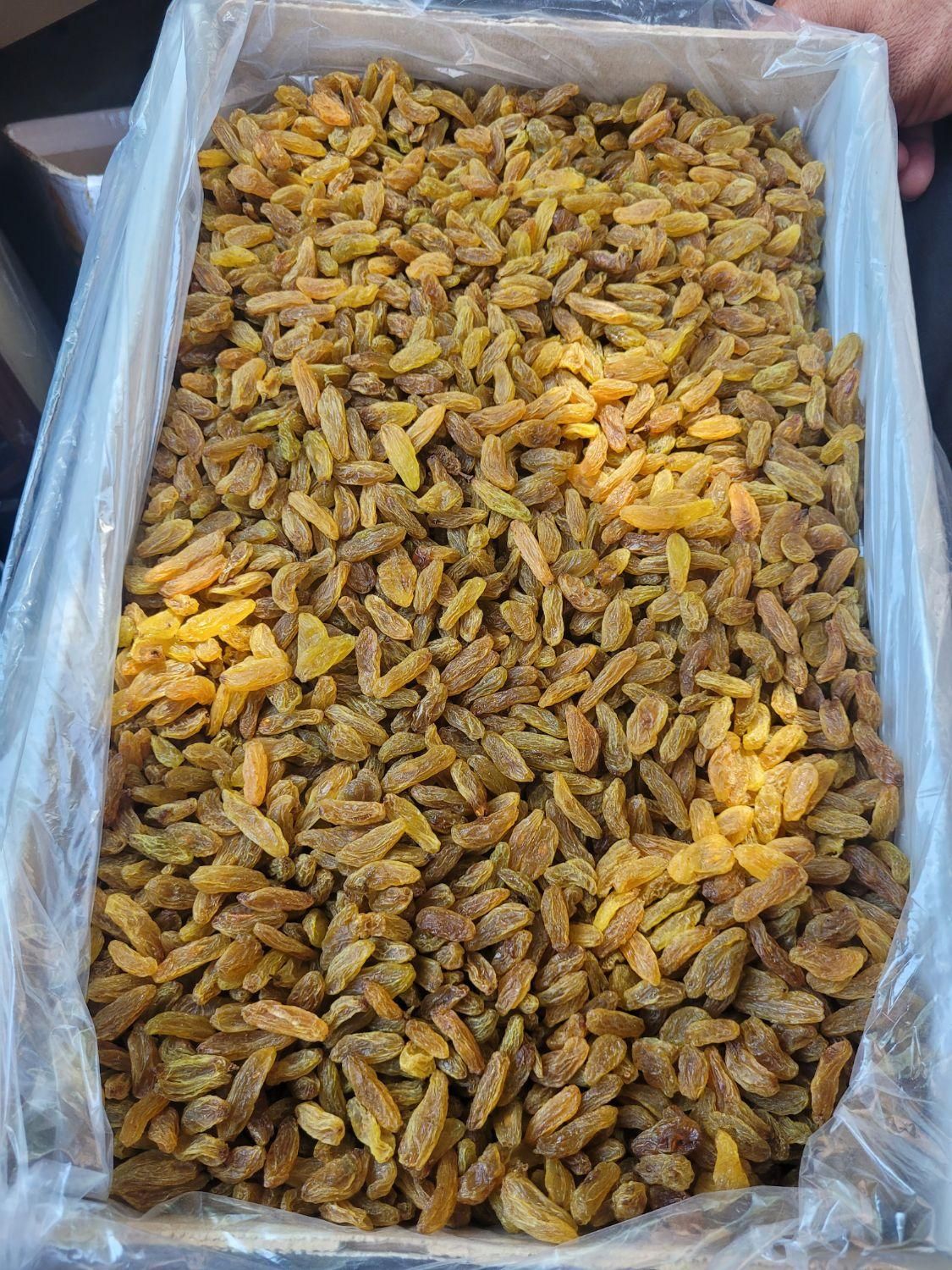 کشمش سبز درجه یک|خوردنی و آشامیدنی|بردسکن, |دیوار