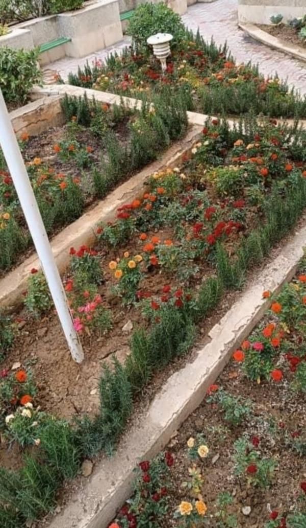 خدمات باغبانی باغچه کاری گلکاری چمن کاری خاک گلدان|خدمات باغبانی و درختکاری|تهران, نیاوران|دیوار