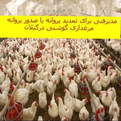 مدیرفنی برای تمدید،صدور پروانه مرغداری گوشتی گیلان|استخدام صنعتی، فنی، مهندسی|رشت, گلسار|دیوار