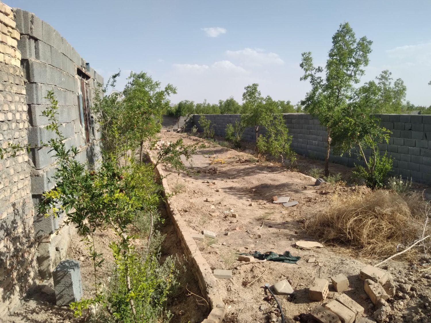 تصویر 12