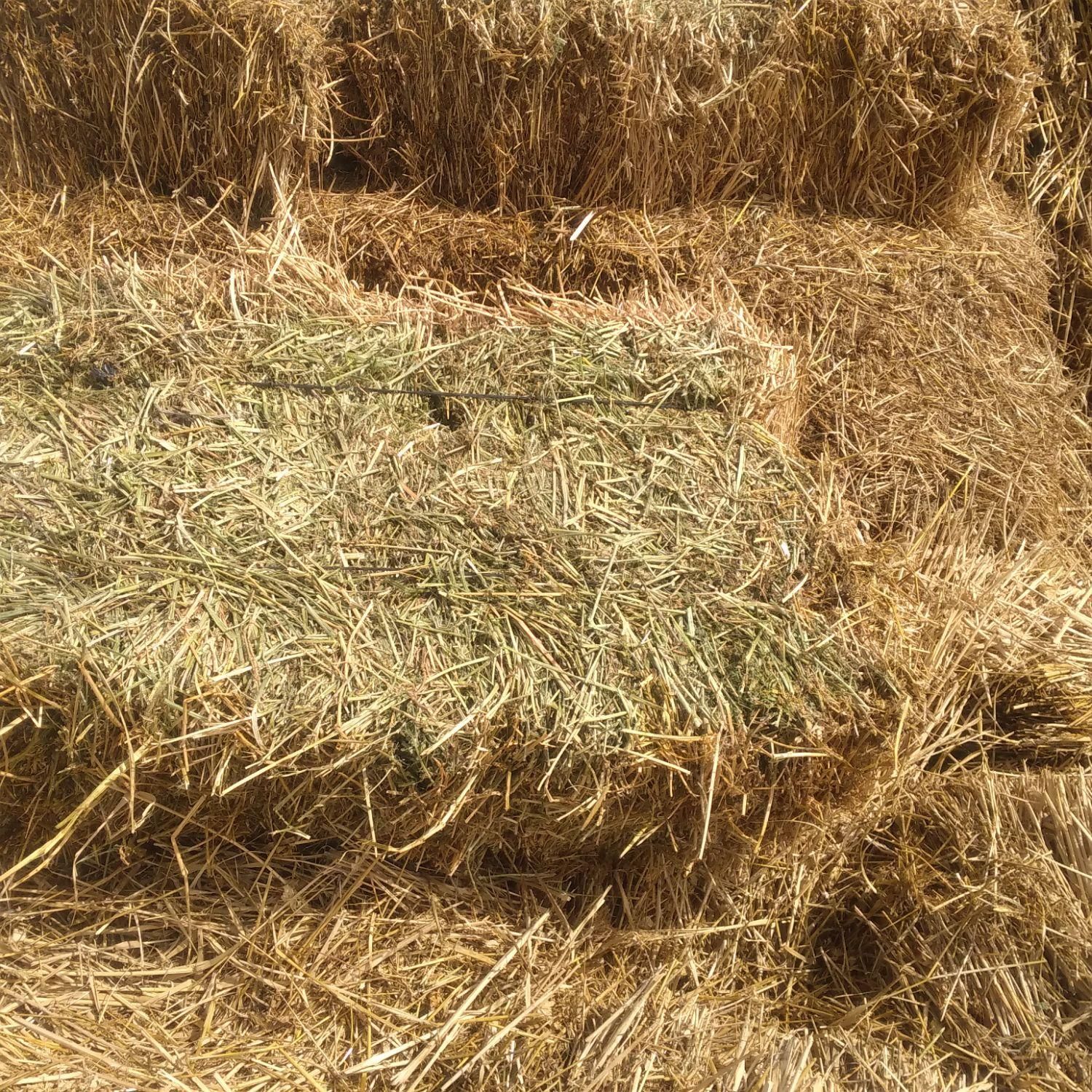 یونجه|حراج|سراب, |دیوار