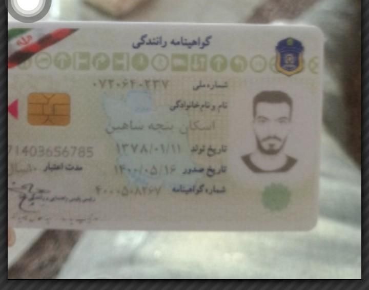گمشده گواهینامه  اشکان پنجه شاهین|اشیا|تربت جام, شهرک آزادگان|دیوار