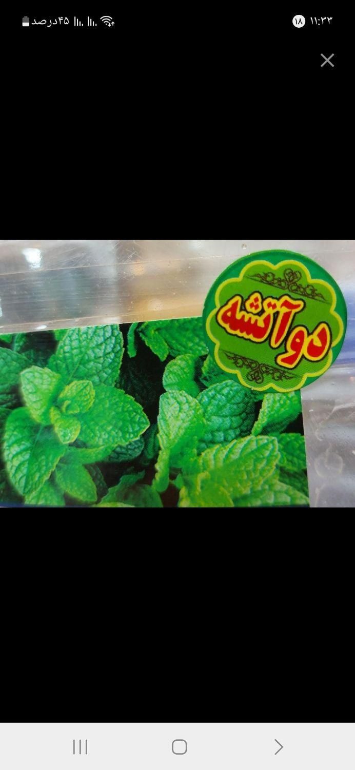 عرق نعنا دوآتیشه سنتی|خوردنی و آشامیدنی|تهران, مجیدیه|دیوار