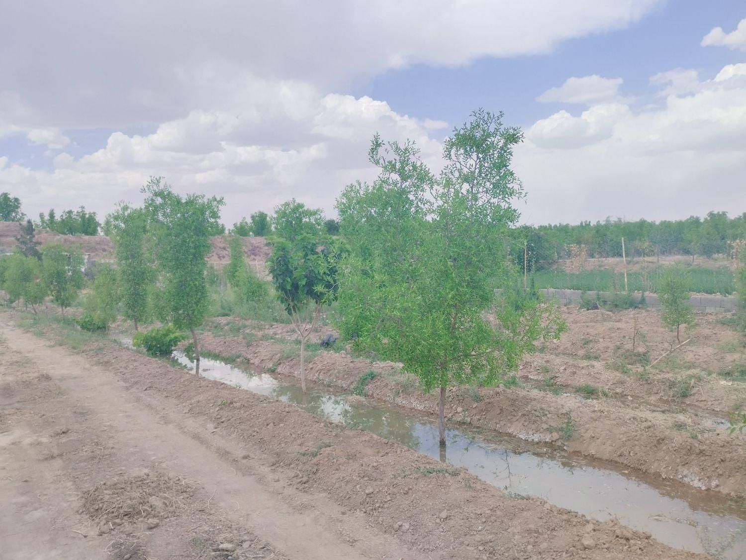 تصویر 8