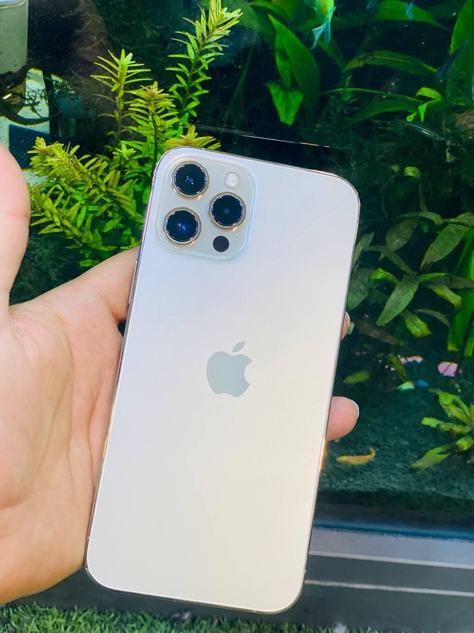 اپل iPhone 12 Pro Max با حافظهٔ ۲۵۶ گیگابایت|موبایل|تهران, سرتخت|دیوار