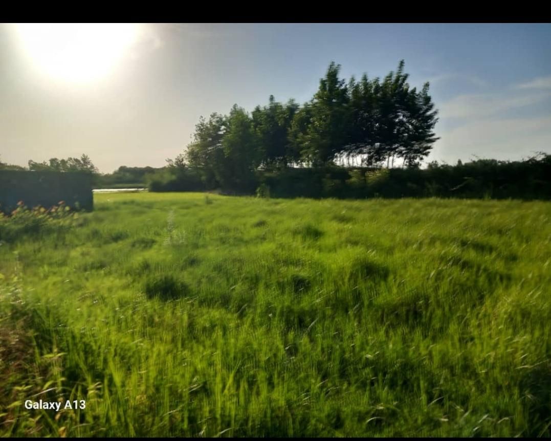 ۷۶۹متر مسکونی|فروش زمین و ملک کلنگی|رودبنه, |دیوار