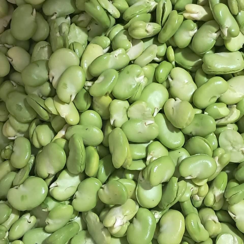 باقالا تازه کرمانشاه|خوردنی و آشامیدنی|تهران, مرادآباد|دیوار