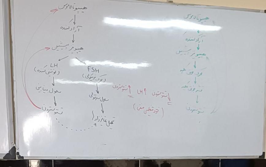 تدریس زیست ، فیزیک دروس نهایی  و مشاور کنکور|خدمات آموزشی|تهران, صادقیه|دیوار