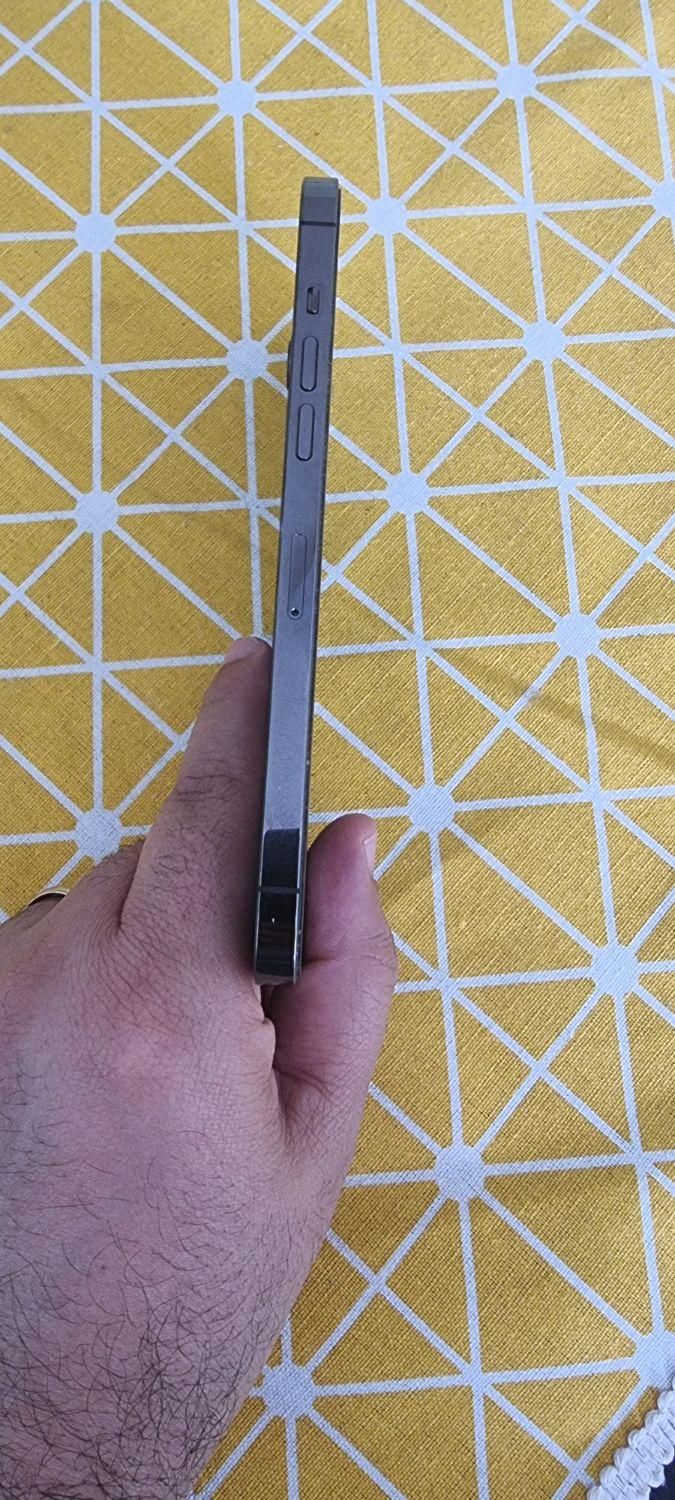 iPhone 12 Pro Max (آیفون 12 پرو مکس)|موبایل|تهران, عباس‌آباد|دیوار