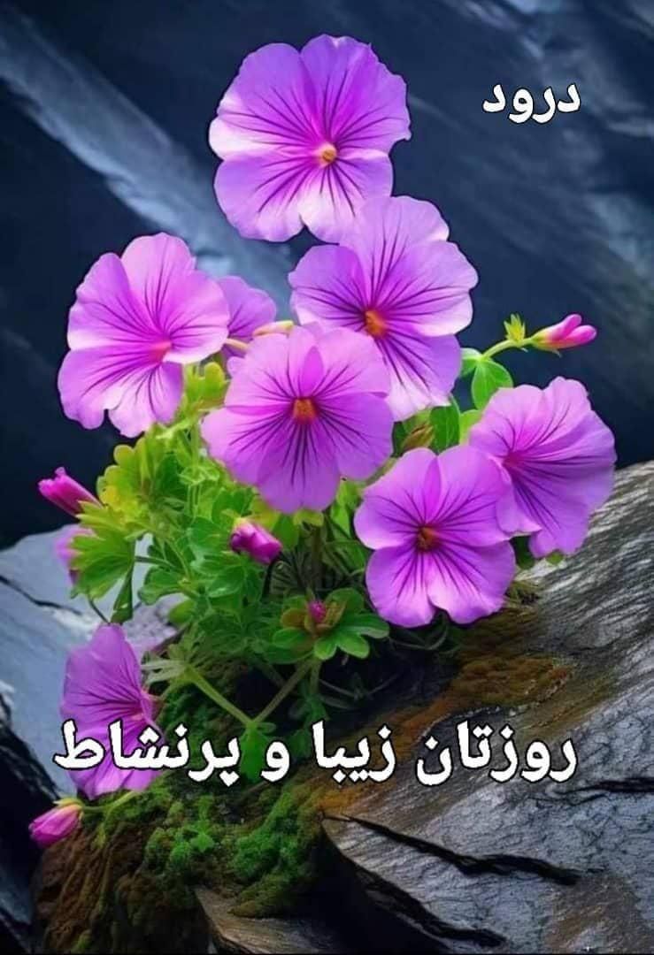 ادمین اینستا|استخدام اداری و مدیریت|یزد, |دیوار
