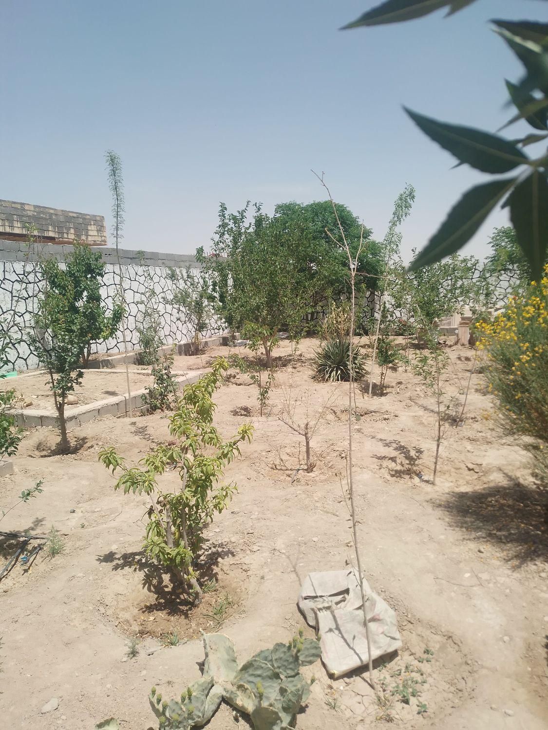 فروش باغ واقع درراستای منشیان (حسین آباد)|فروش خانه و ویلا|تهران, فرودگاه مهرآباد|دیوار