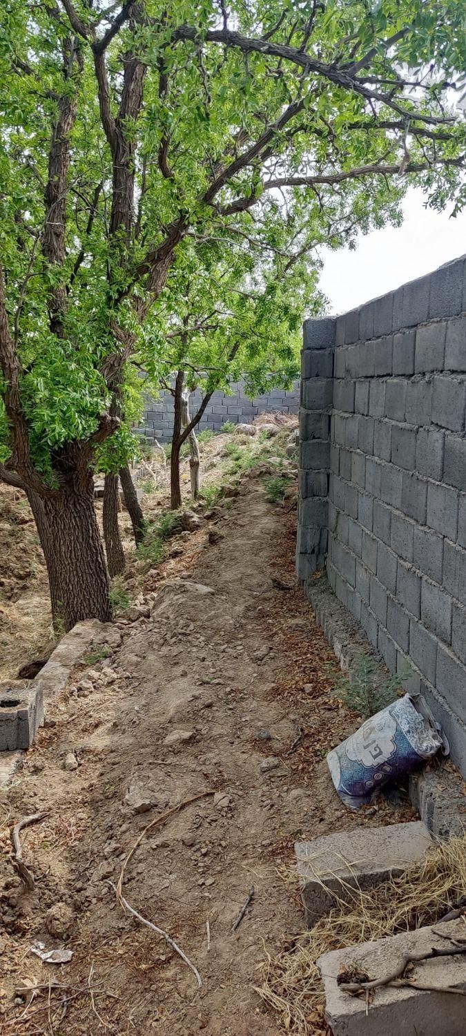 تصویر 13