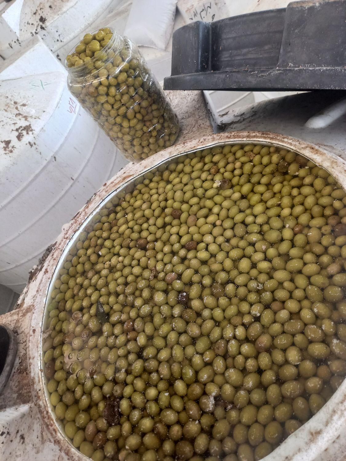 زیتون عمده ارزون|خوردنی و آشامیدنی|تهران, خلیج فارس|دیوار