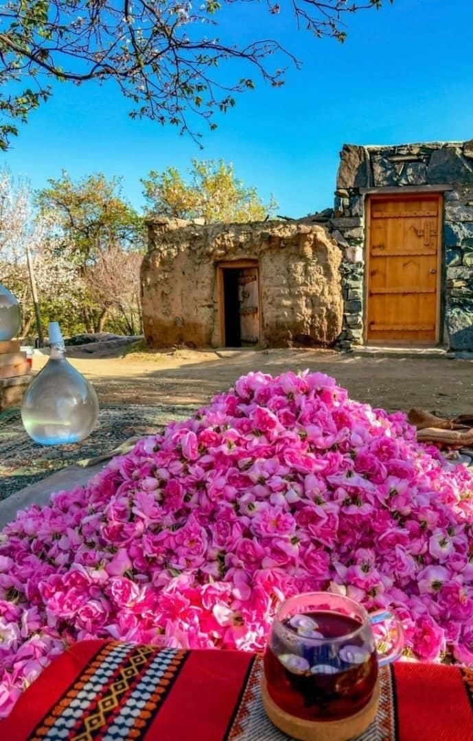 تور جشنواره گل و گلاب میمند|تور و چارتر|شیراز, فرهنگ شهر|دیوار