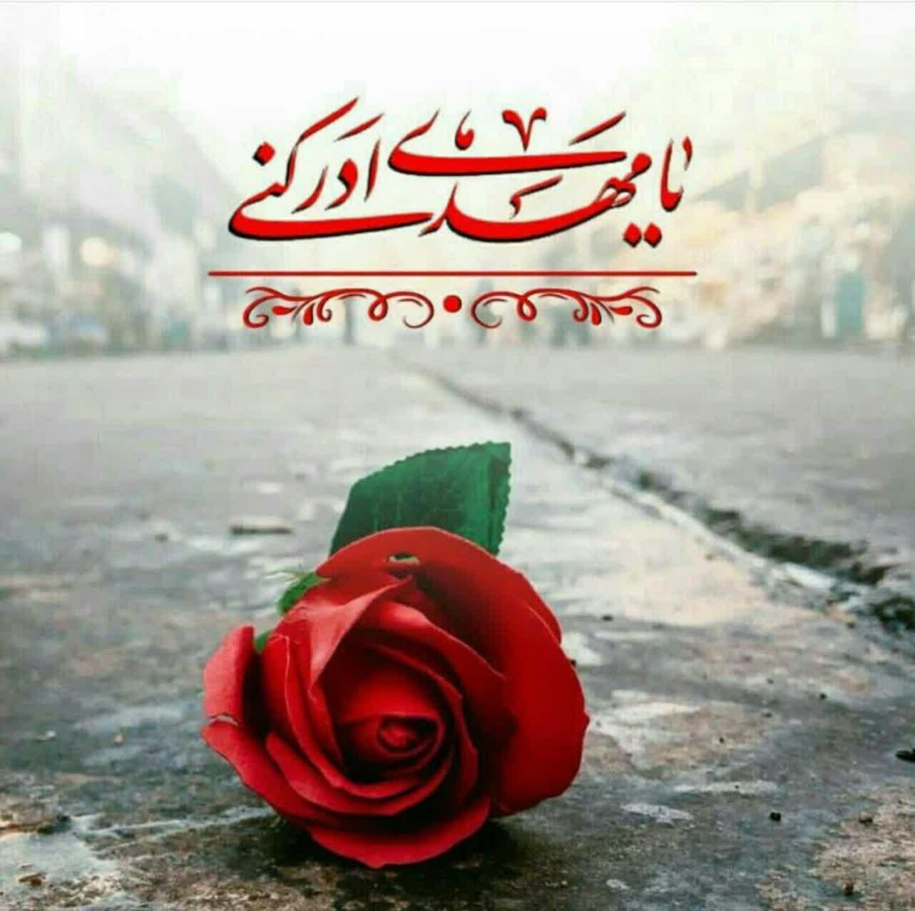 کربلا هوایی و زمینی اقساطی|تور و چارتر|تهران, بریانک|دیوار