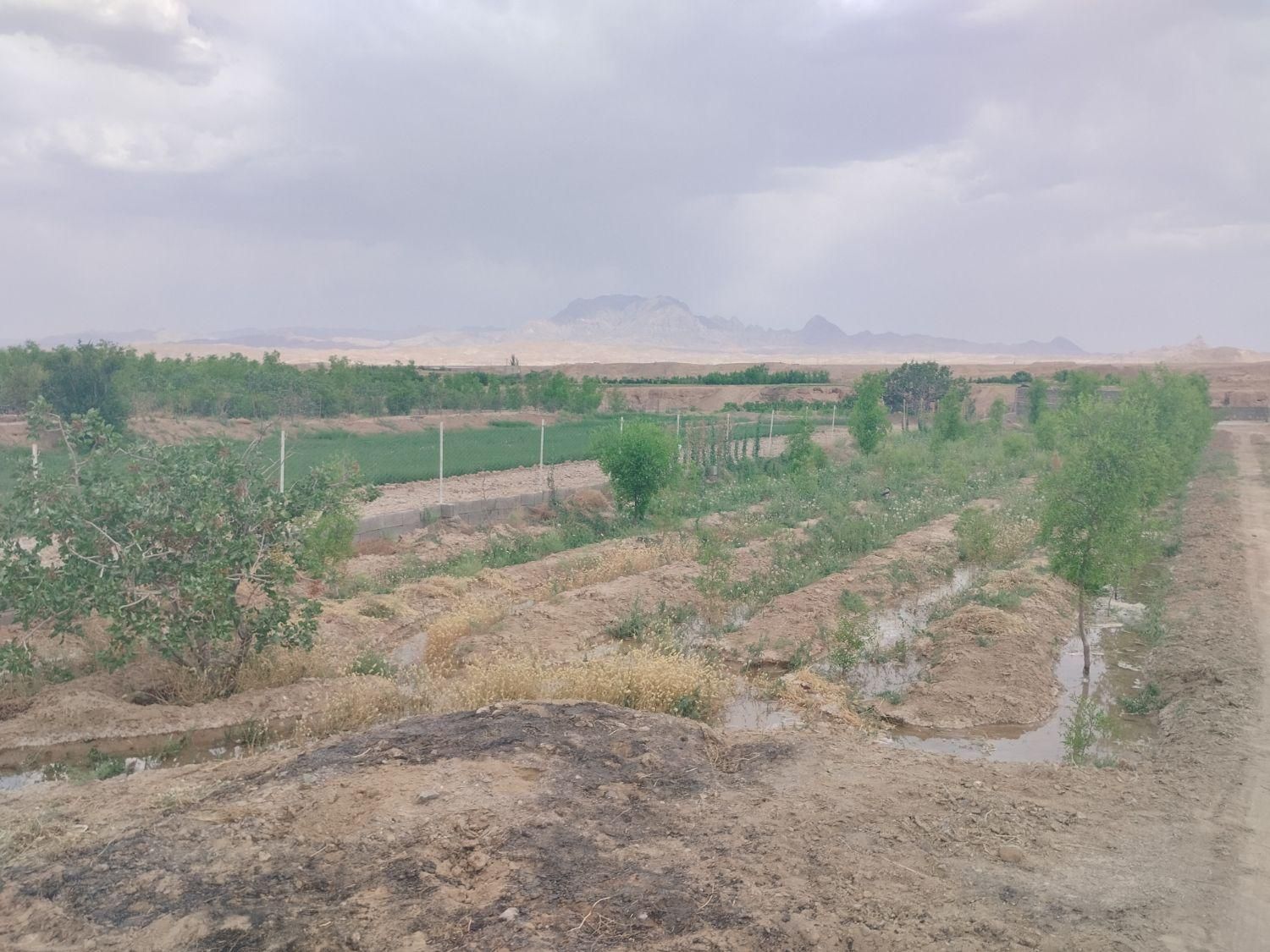 تصویر 3
