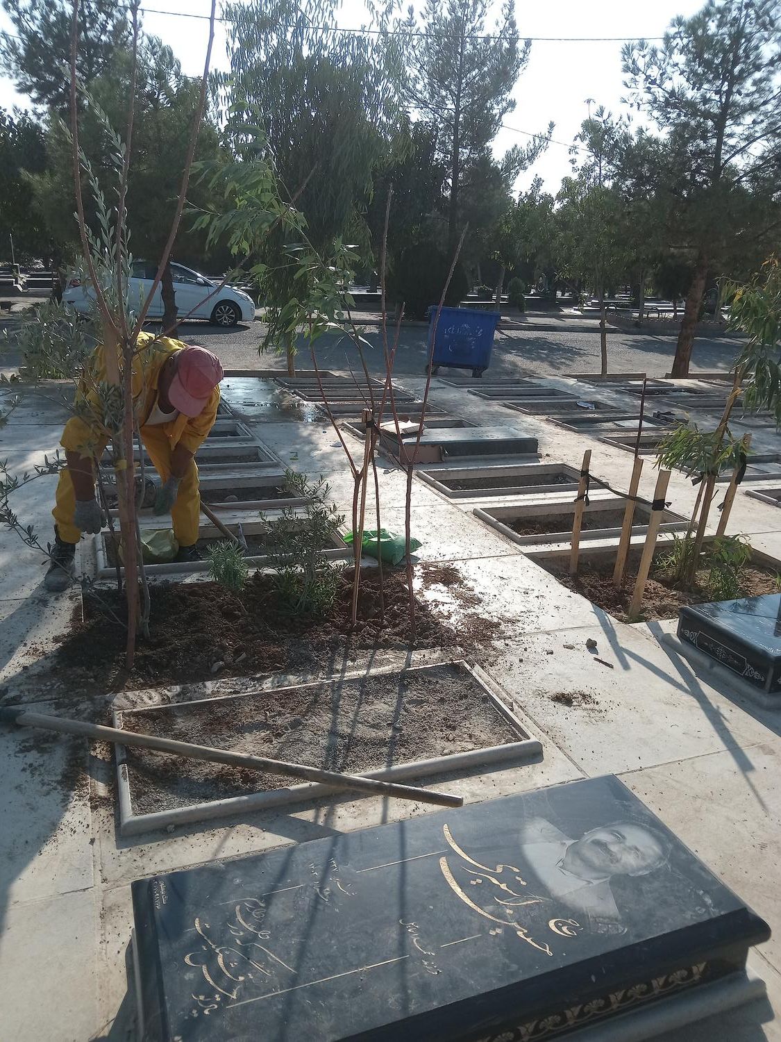 سرقبر کنارقبر سرمزار کاشتن نهال درخت گل وگیاه در|خدمات باغبانی و درختکاری|تهران, باغ خزانه|دیوار