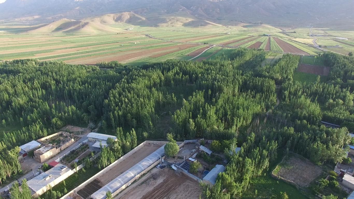استخدام مدیر رستوران سنتی درشهرکرد|استخدام خدمات فروشگاه و رستوران|تهران, درکه|دیوار