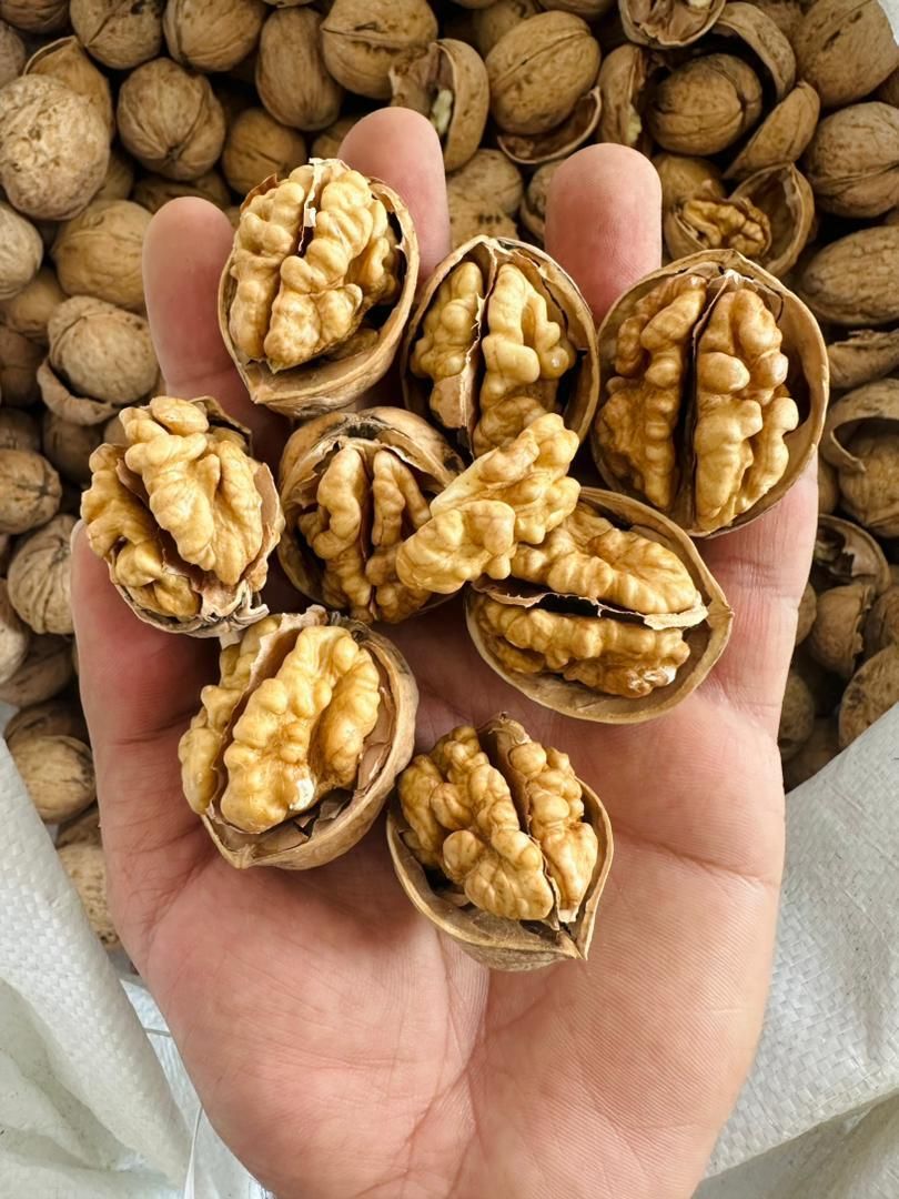 گردو‌/مغزگردو/مغز/خشکبار|خوردنی و آشامیدنی|تهران, اباذر|دیوار