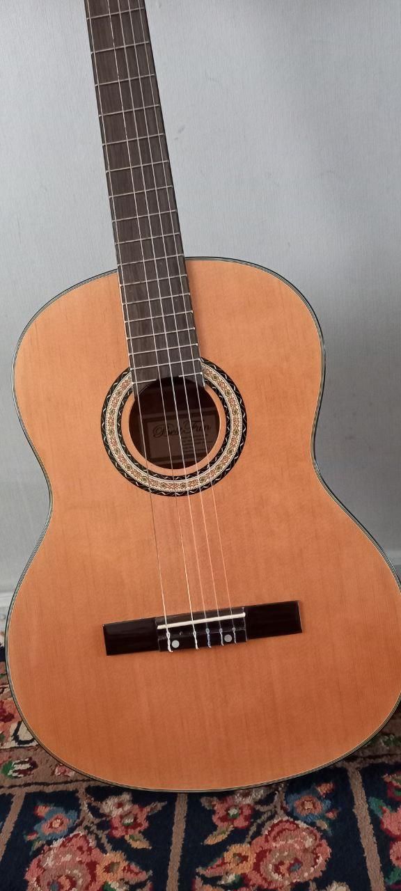 گیتار/  guitar Bestfun E150|گیتار، بیس، امپلیفایر|تهران, ایرانشهر|دیوار