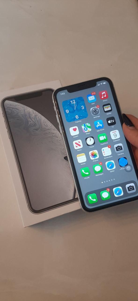 اپل iPhone XR  گیگابایت64|موبایل|تهران, سرتخت|دیوار