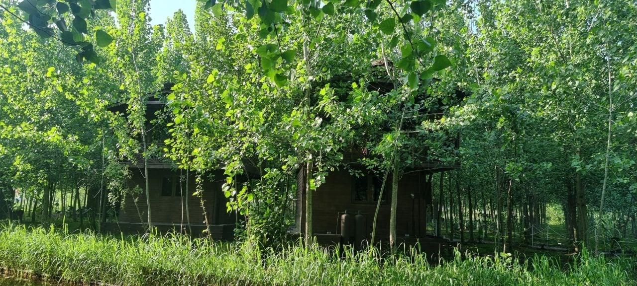 ویلای چوبی در قلب جنگل وآبی|فروش خانه و ویلا|تهران, سنگلج|دیوار