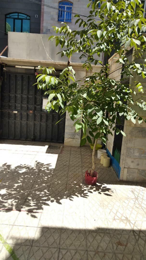 خانه دربست ۲/۵ طبقه با حیاط بزرگ|اجارهٔ خانه و ویلا|تهران, امامزاده حسن(ع)|دیوار