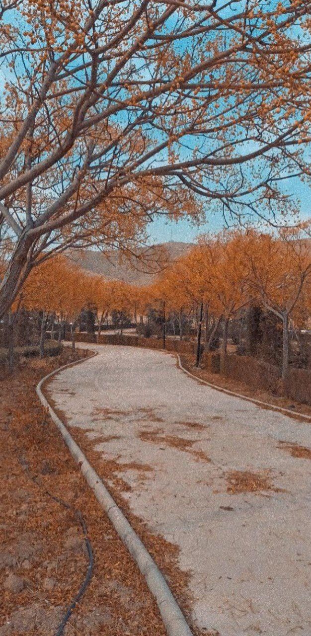 سوییچ و ریموت پراید در قائمیه گم شده|اشیا|اصفهان, طاحونه|دیوار