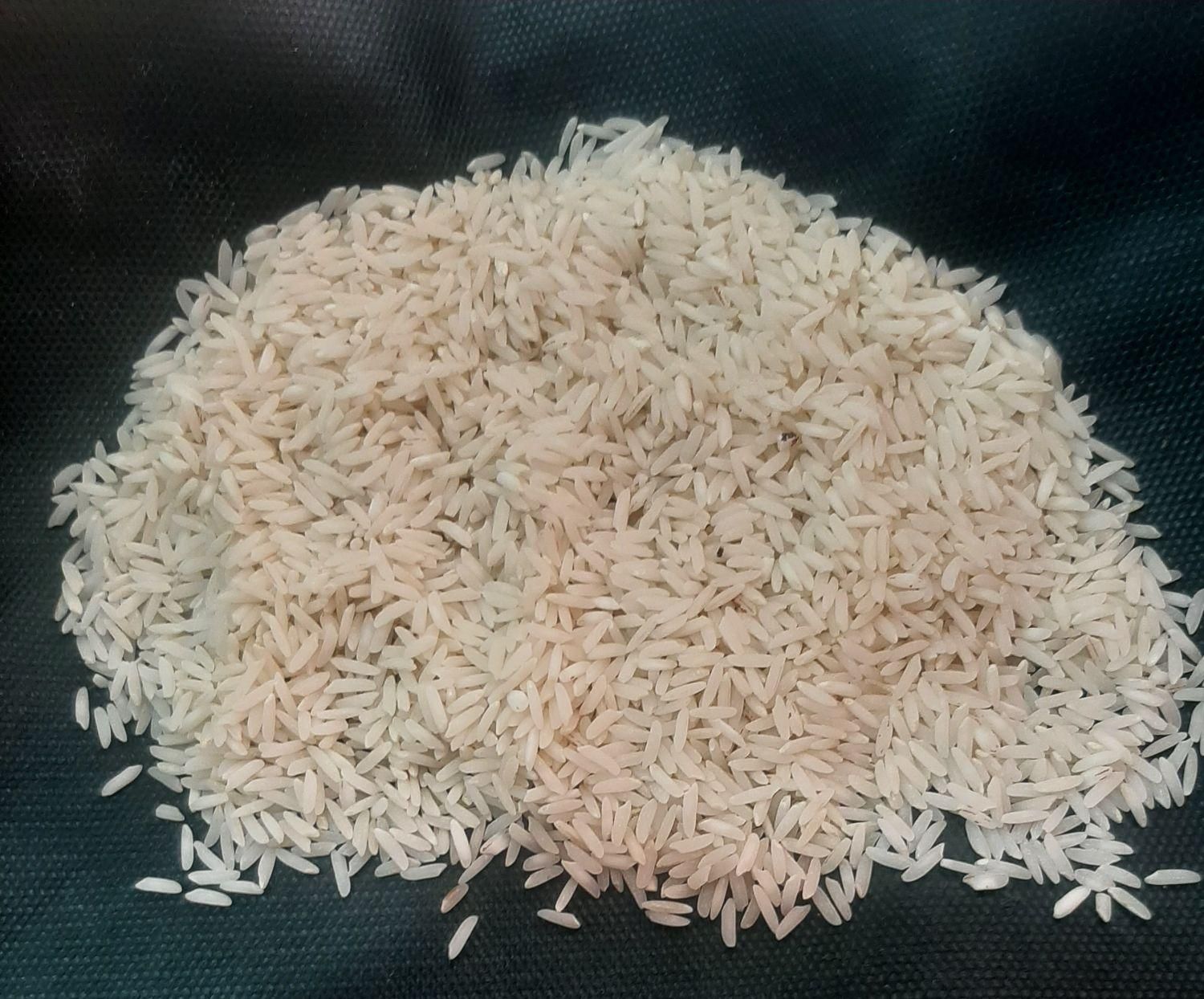 برنج طارم هاشمی،لاشه طارم هاشمی،طارم فجرگرگان|خوردنی و آشامیدنی|تهران, تهرانپارس شرقی|دیوار