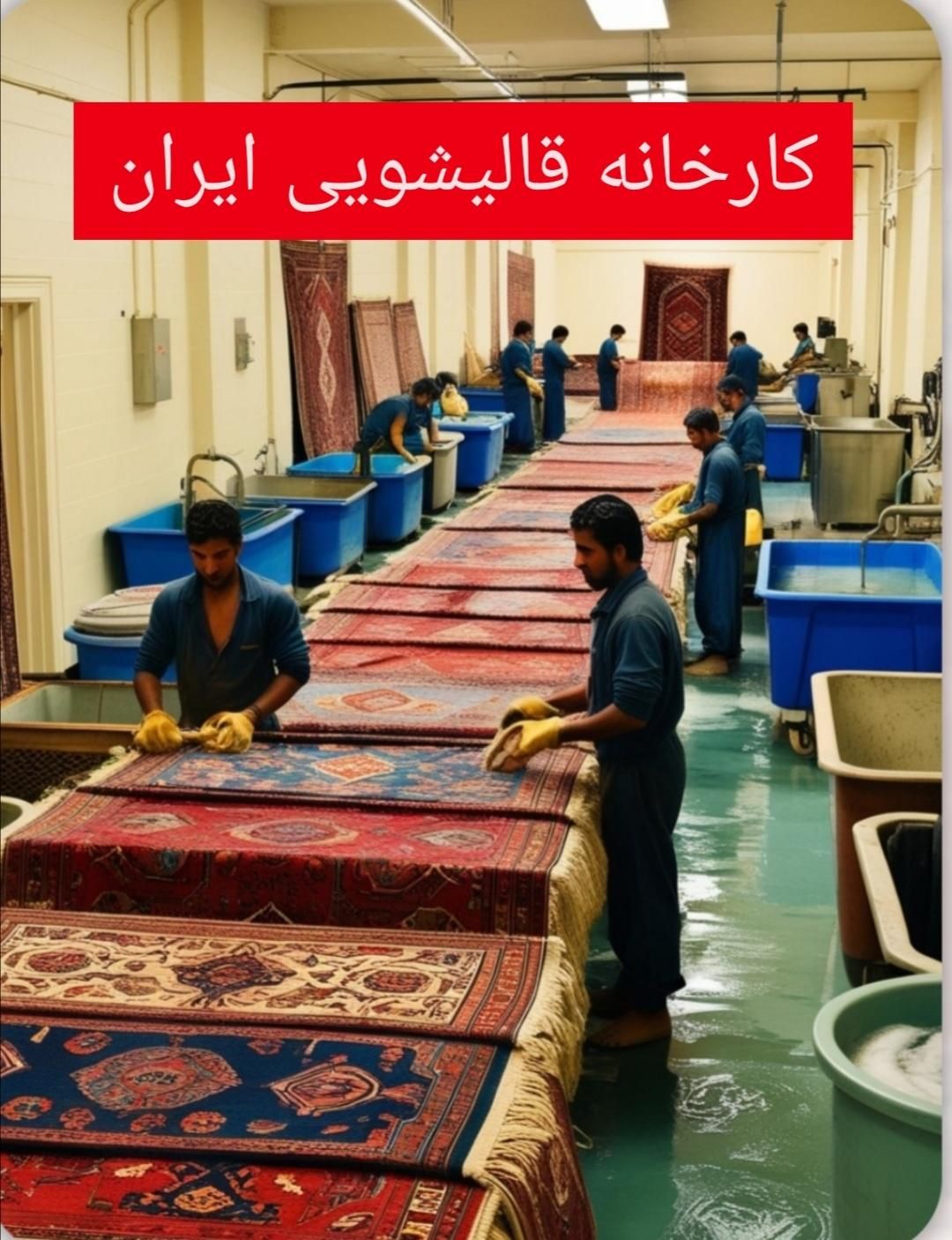 کارخانه قالیشویی بزرگ و تخصصی ایران|خدمات نظافت|ارومیه, |دیوار