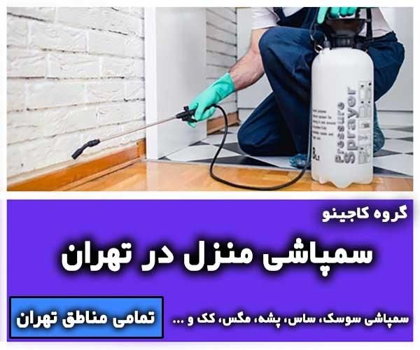 سمپاشی در منزل سوسک،ساس و... تمامی مناطق تهران|خدمات نظافت|تهران, تهرانپارس غربی|دیوار