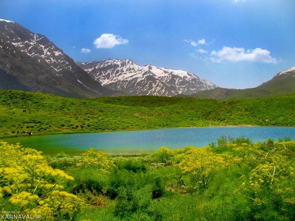 تور سی سخت|تور و چارتر|شیراز, معالی‌آباد|دیوار