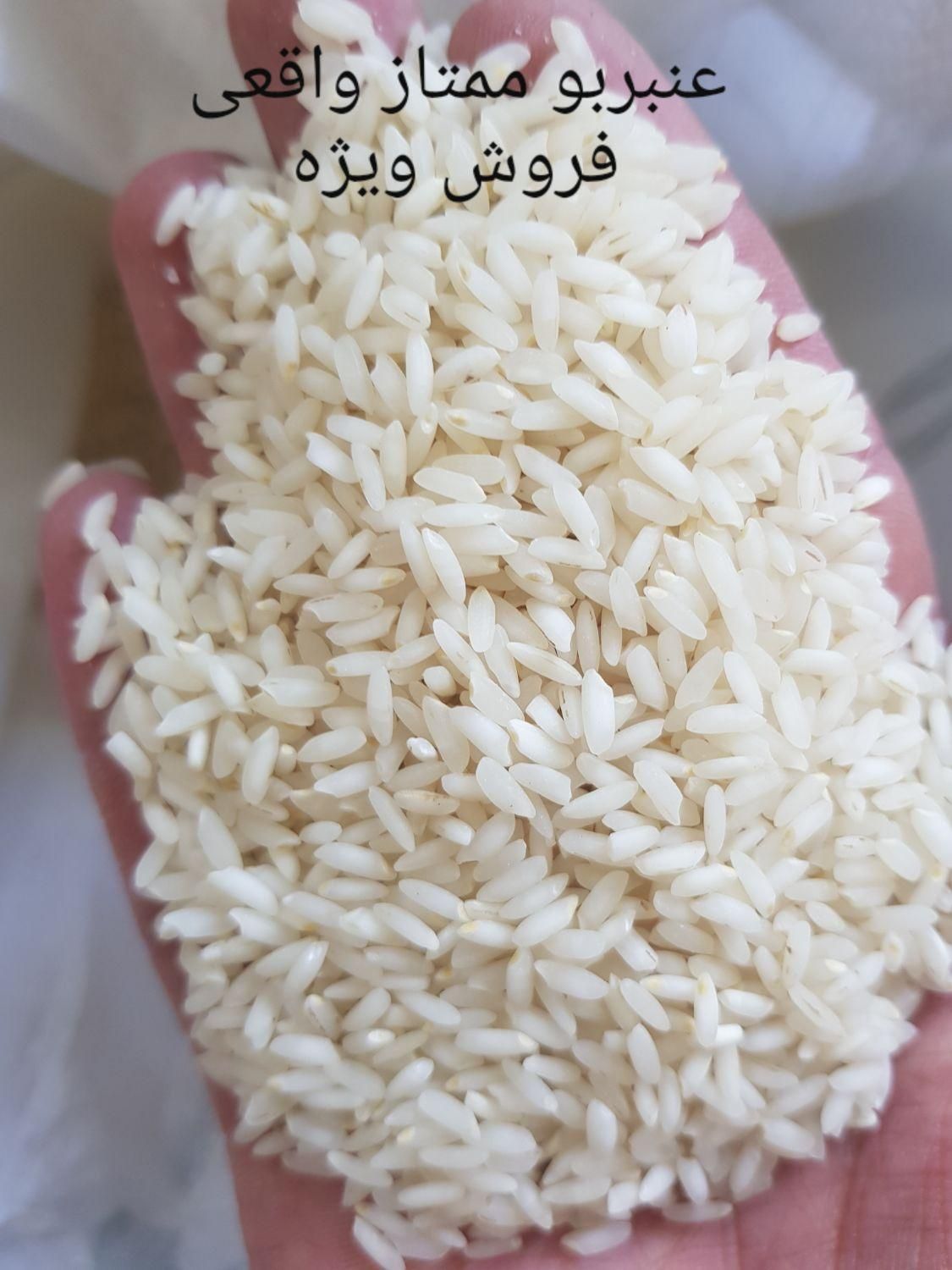 برنج عنبربو ماه دانه|خوردنی و آشامیدنی|تهران, تهران‌نو|دیوار