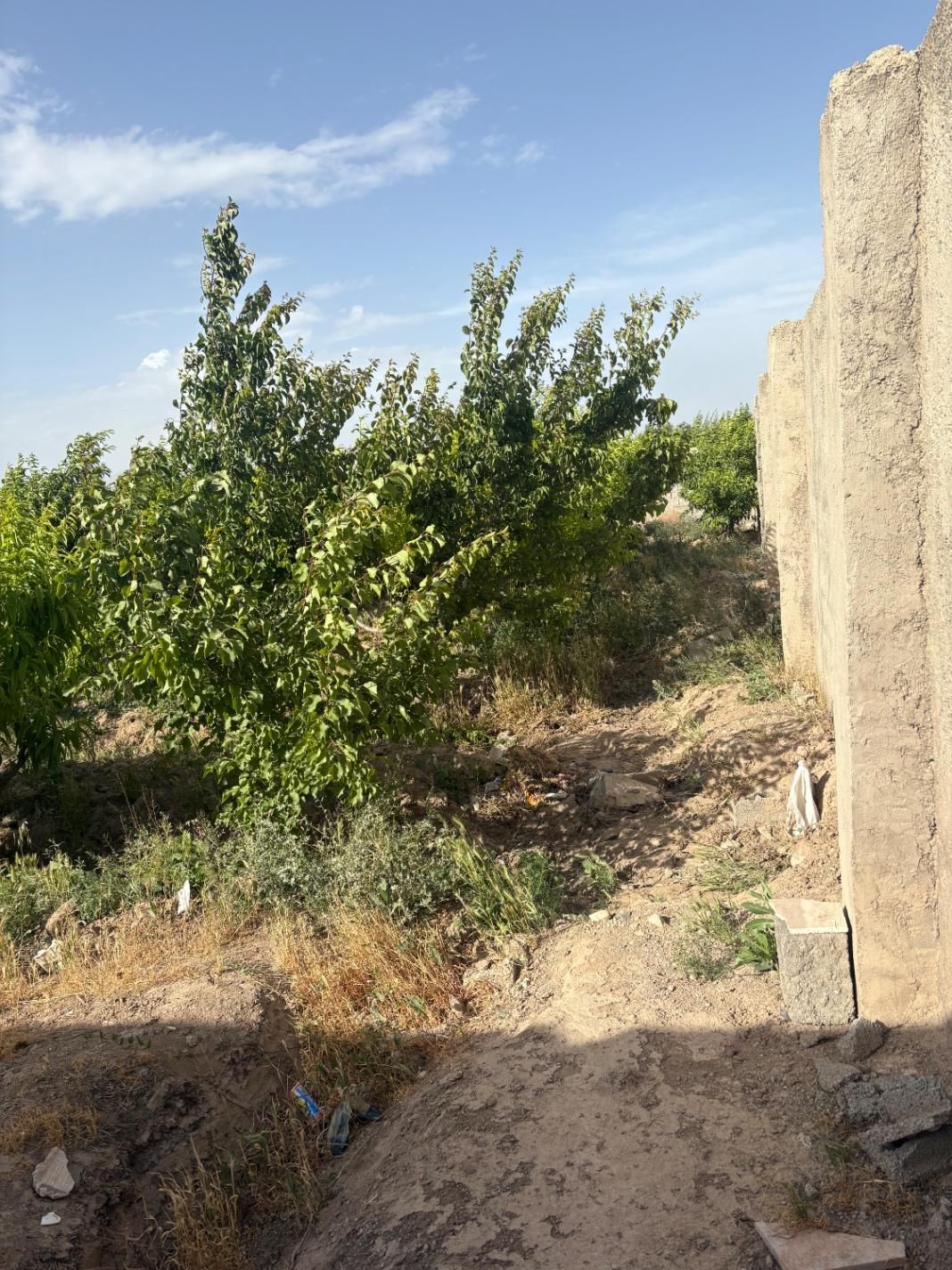 باغچه هزار متری|فروش زمین و ملک کلنگی|تهران, سرو آزاد|دیوار