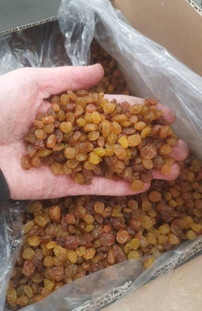 کشمش|خوردنی و آشامیدنی|کرج, حصارک|دیوار