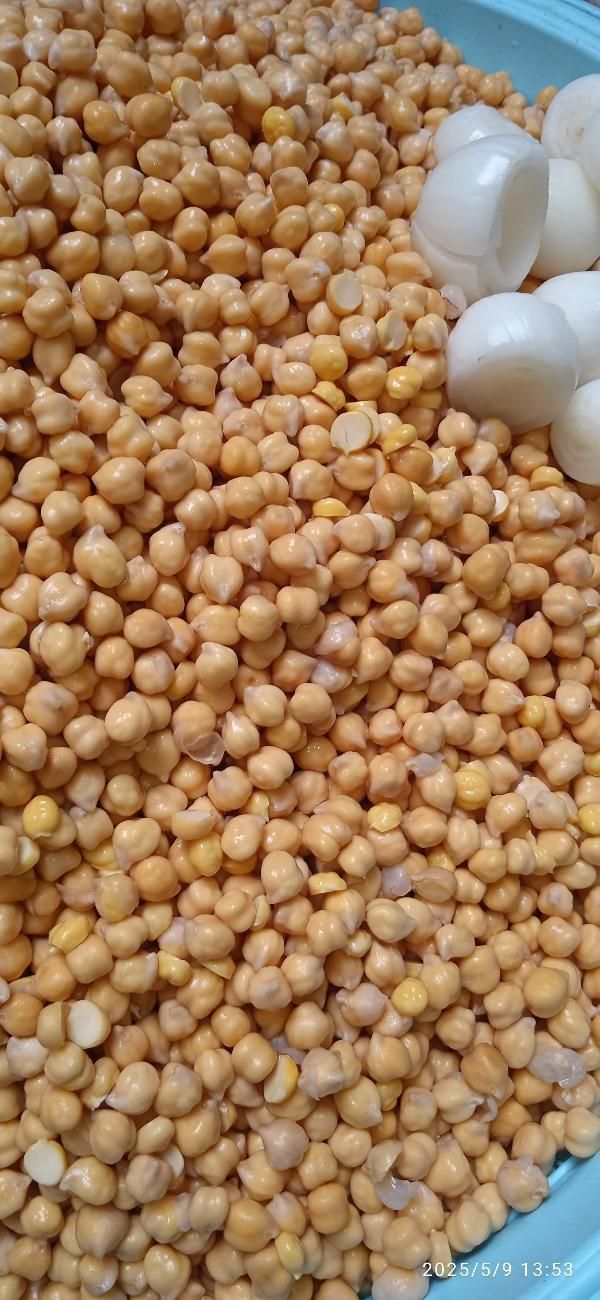 مایه فلافل درجه یک آبادانی با ادویه خاص|خوردنی و آشامیدنی|تهران, اکباتان|دیوار