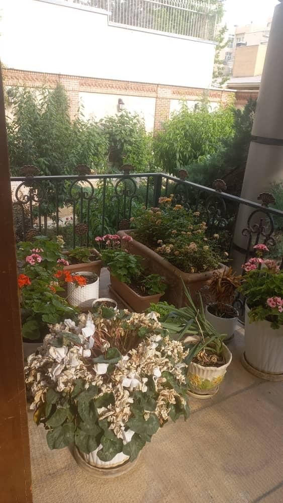 جردن 330 متر 4 خواب تکرار نشدنی|اجارهٔ آپارتمان|تهران, جردن|دیوار
