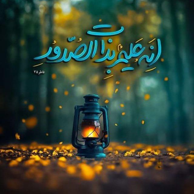 همخونه / همخانه|اجارهٔ آپارتمان|تهران, میدان انقلاب|دیوار
