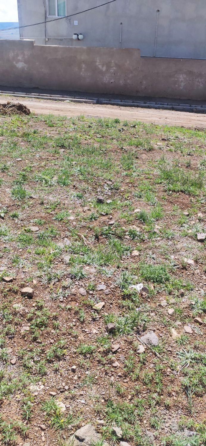 3000متر زمین کشاورزی|فروش زمین و ملک کلنگی|تهران, جنت‌آباد جنوبی|دیوار