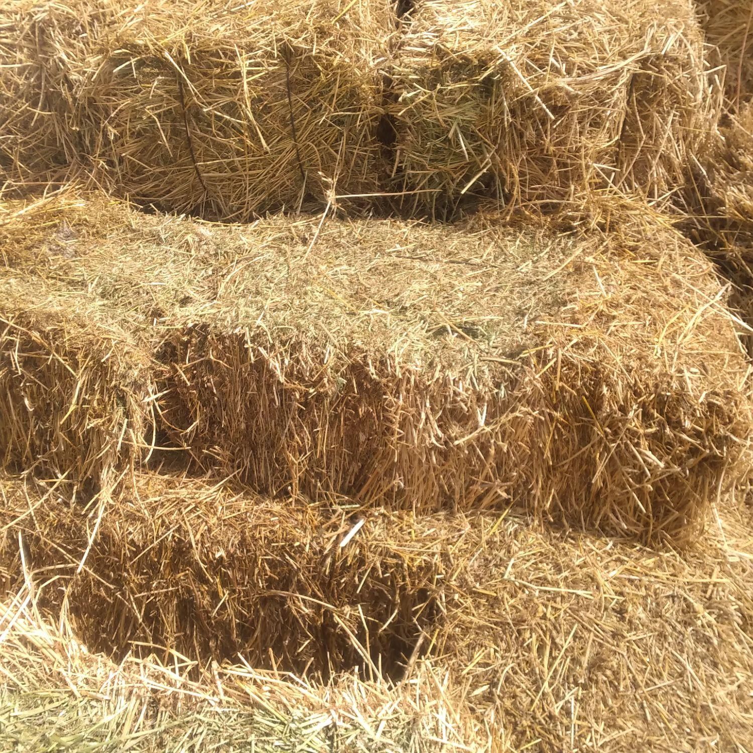 یونجه|حراج|سراب, |دیوار