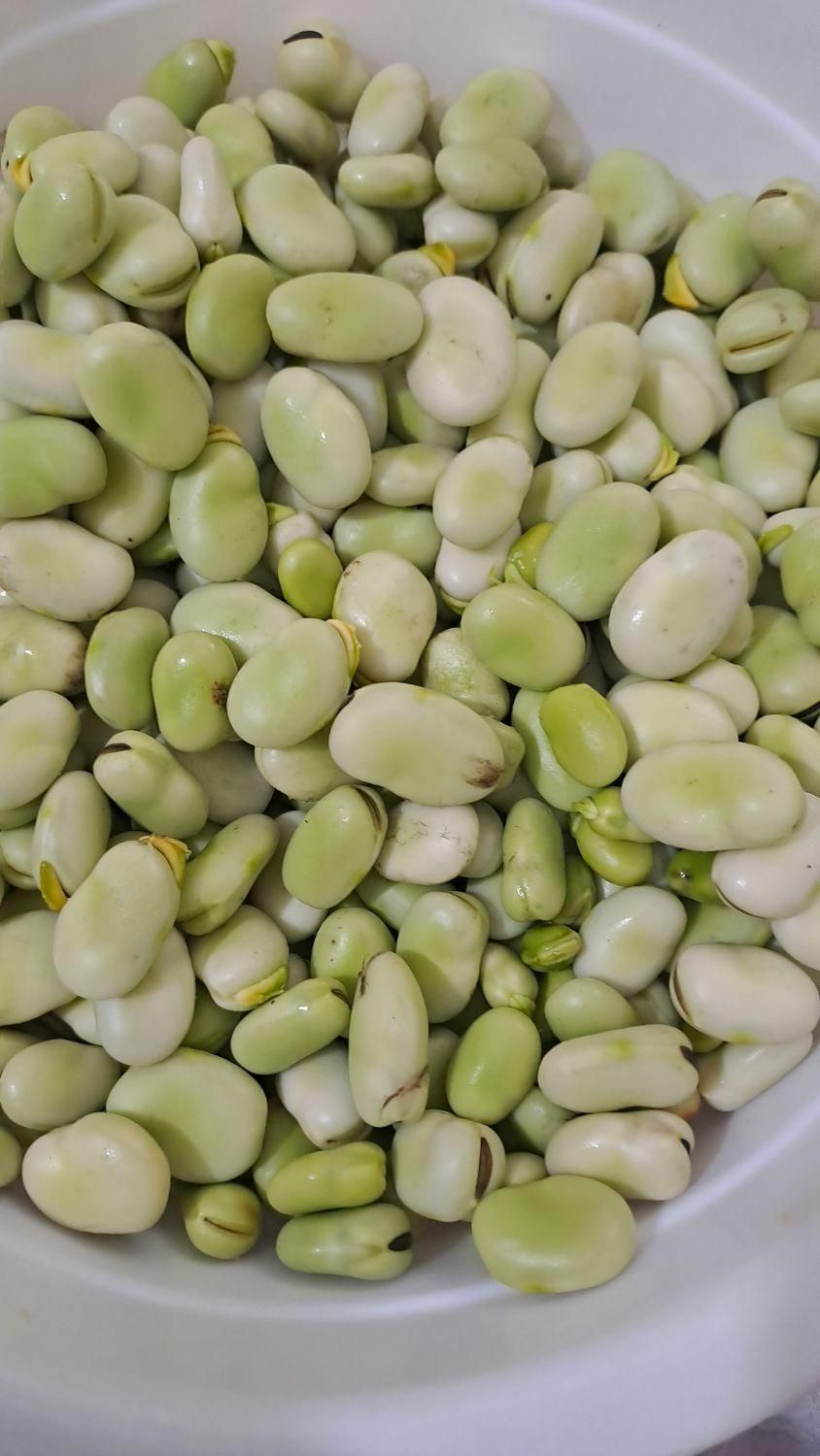 باقلوای شربتی بازعفرون..نخودفرنگی وباقالی|خوردنی و آشامیدنی|مشهد, بلوار توس|دیوار