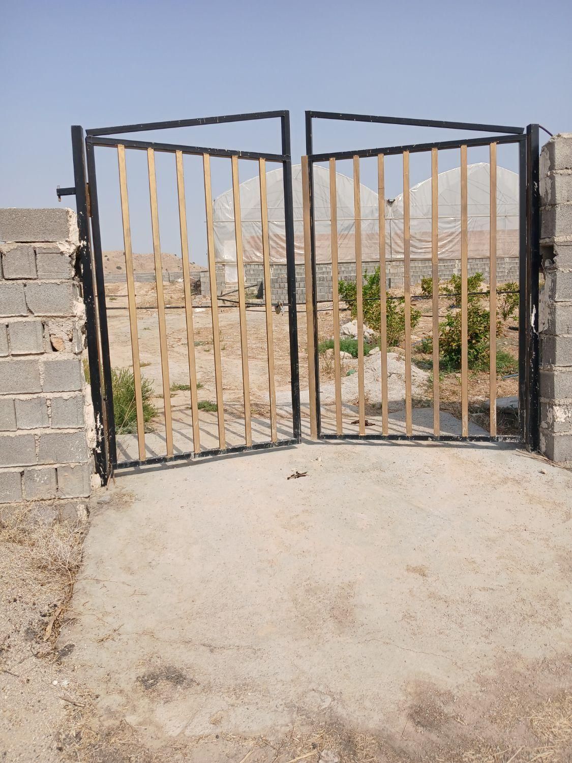 فروش گلخانه ۱۰۰۰ متری|فروش زمین و ملک کلنگی|دوگنبدان, |دیوار
