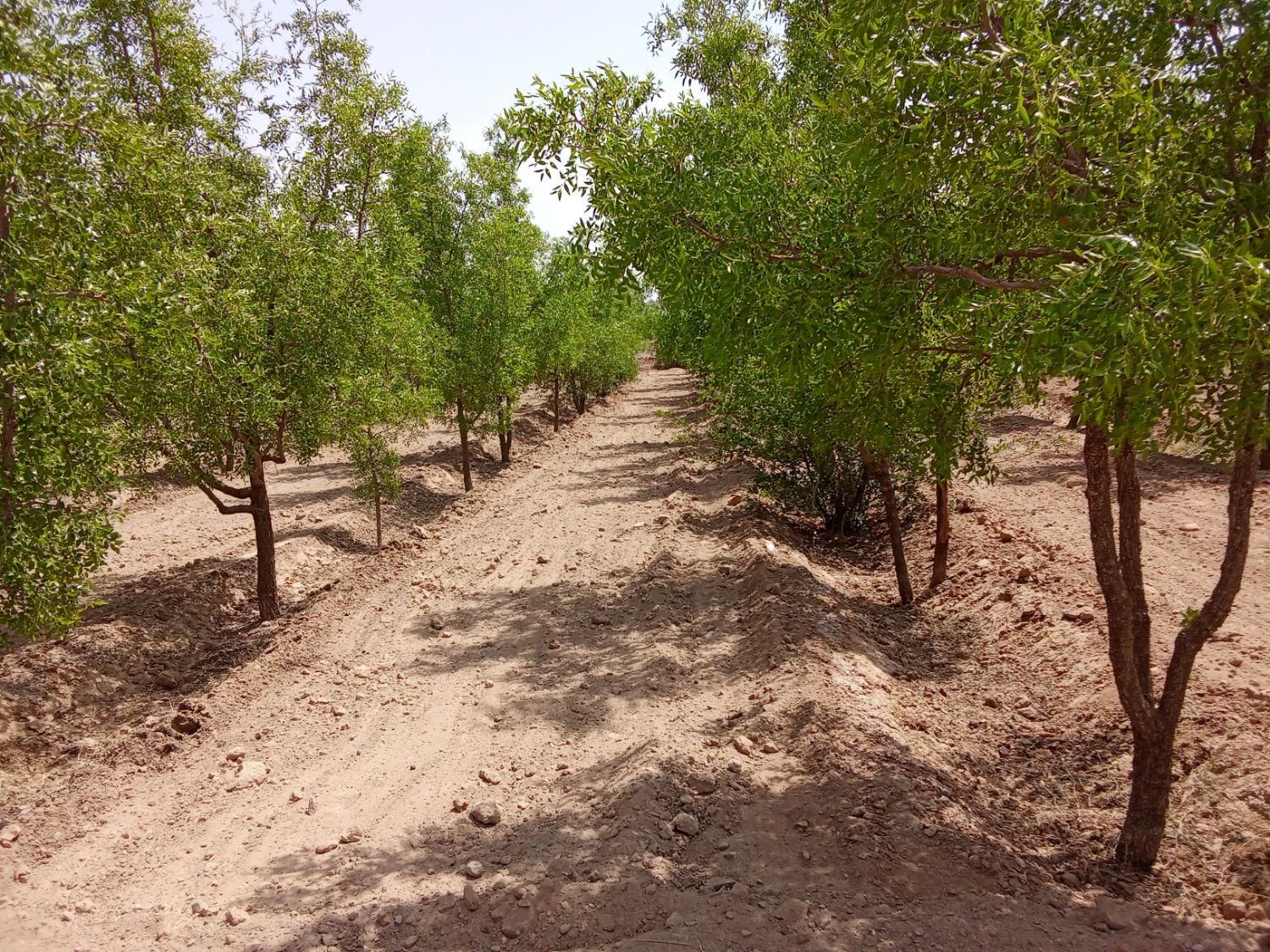 تصویر 2