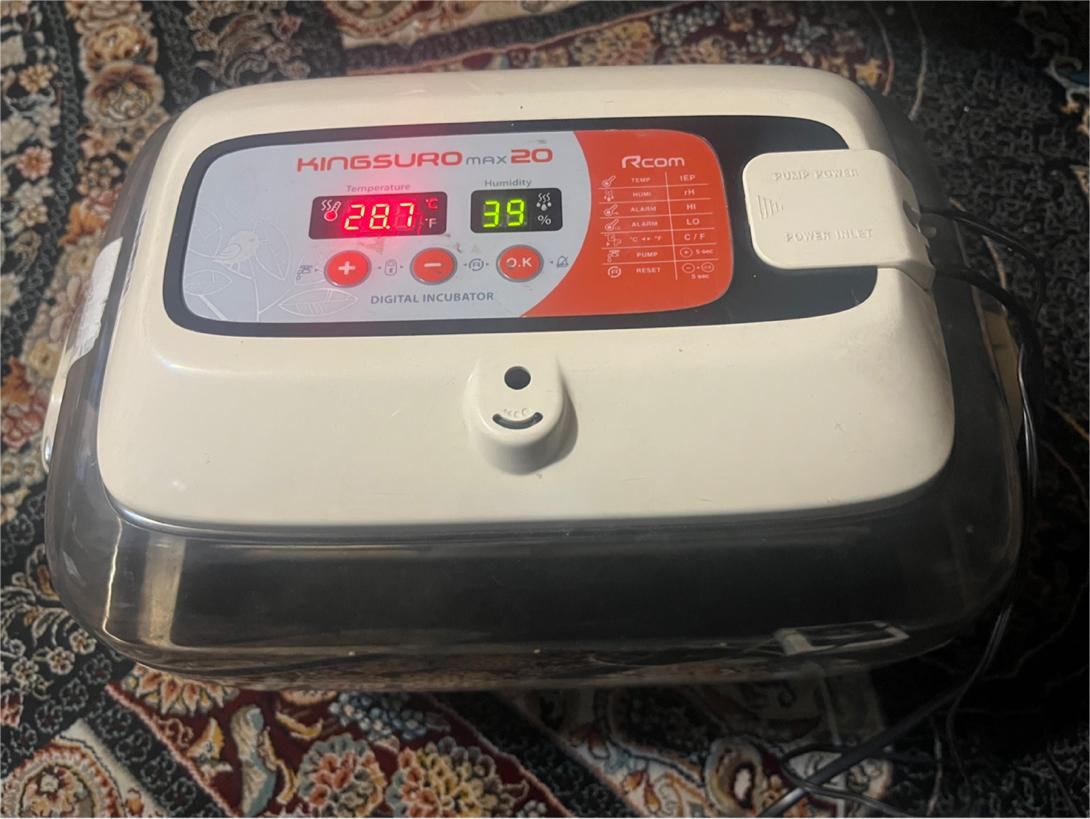 دستگاه جوجه کشی king suro max 20 rcom|لوازم جانبی حیوانات|تهران, طیب|دیوار