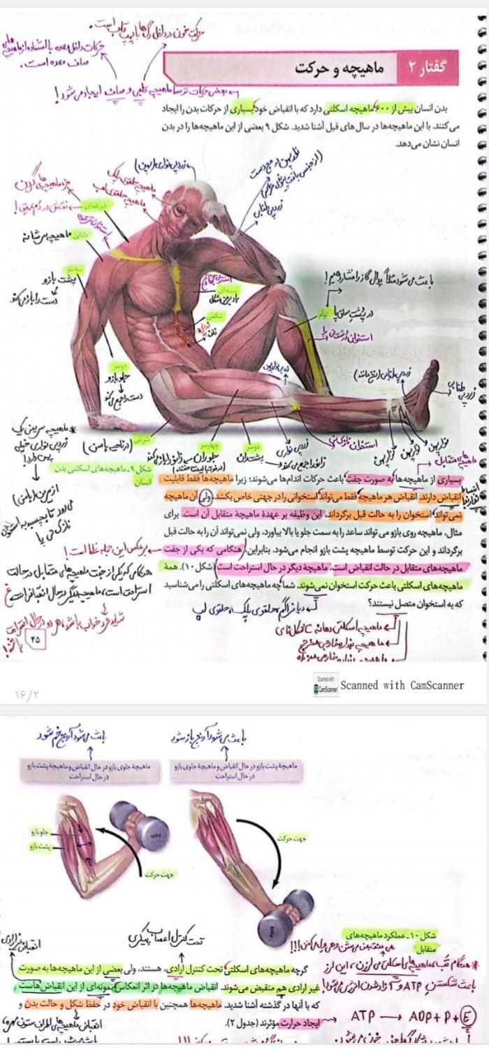 جزوه زیست و شیمی و فیزیک تجربی ریاضی|کتاب و مجله آموزشی|تهران, ستارخان|دیوار