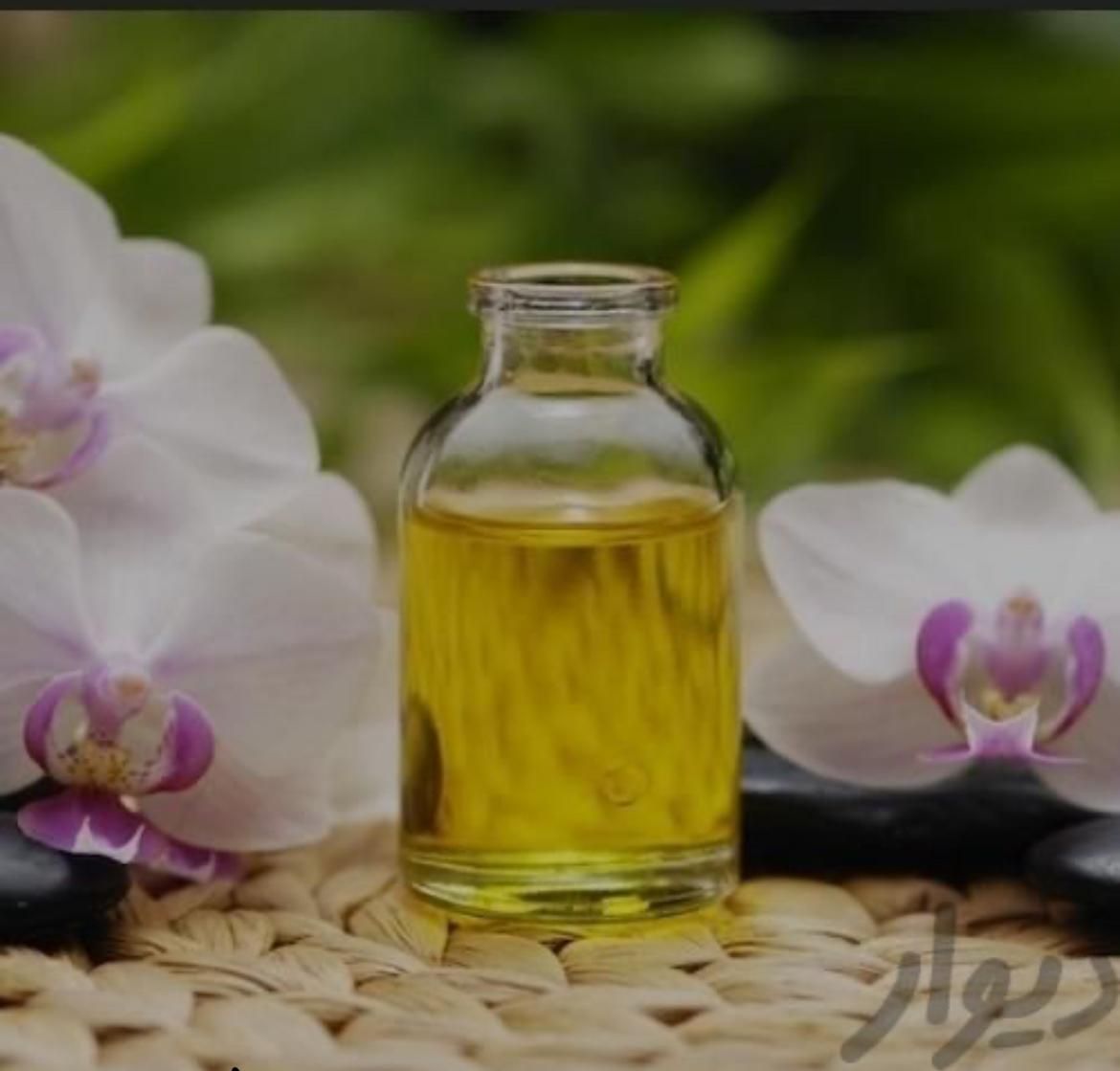 روغن ماساژ بهترین قیمت|آرایشی، بهداشتی، درمانی|تهران, فردوسی|دیوار