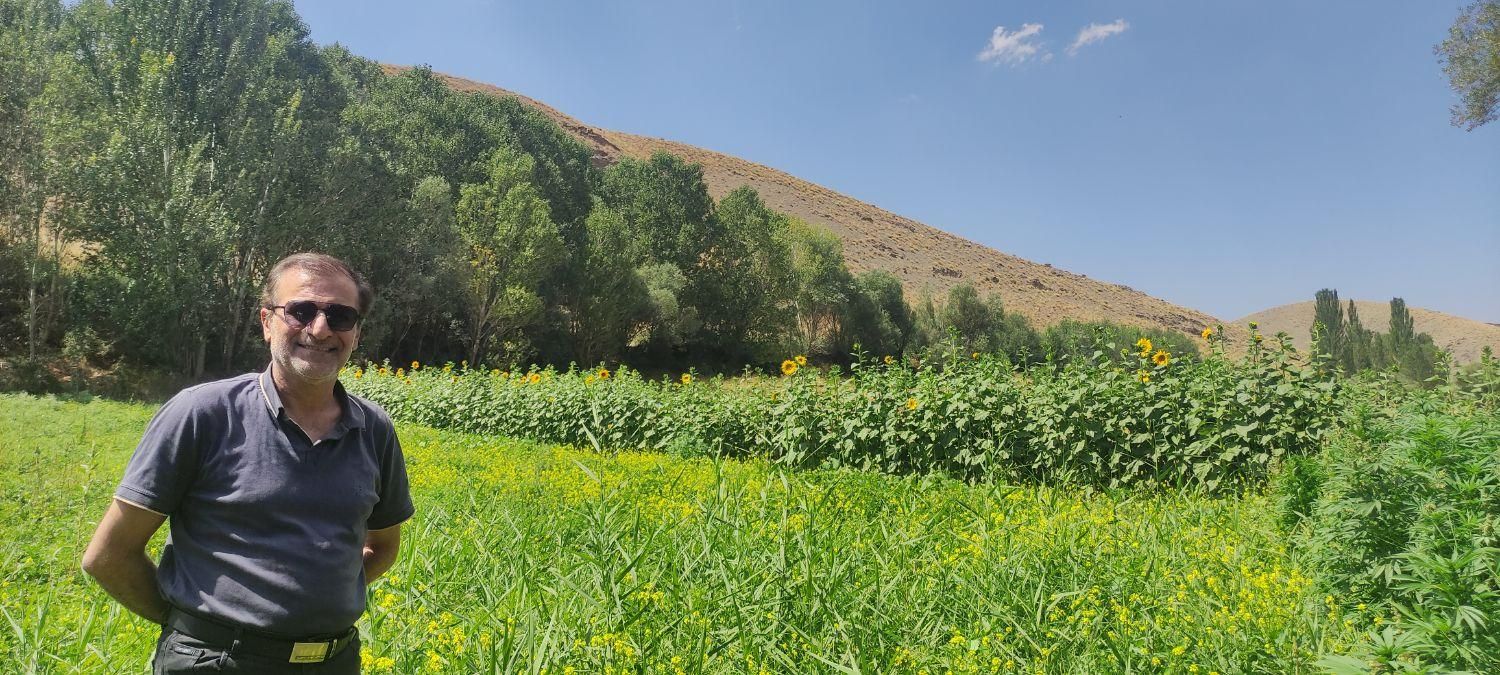 گردشگری با خودرو شخصی|تور و چارتر|تهران, اختیاریه|دیوار